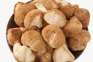 Продажа лечебных грибов: шиитаке, чага, мухомор красный, и др.  Город Ульяновск